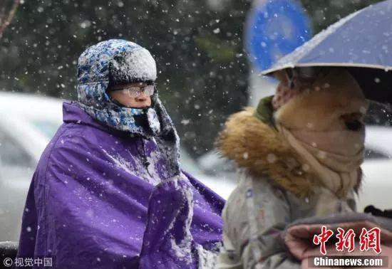 澳门一肖一码一必中一肖雷锋｜澳门精准预测一肖一码必中雷锋版｜探索精准之路的奥秘_财务品K89.772