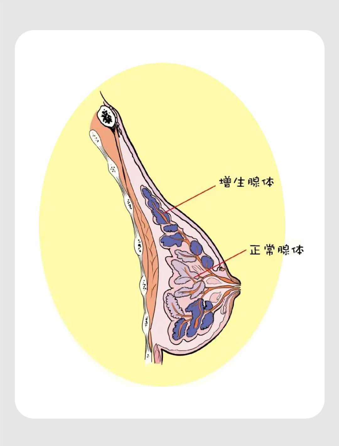 你也不拥有我 第2页