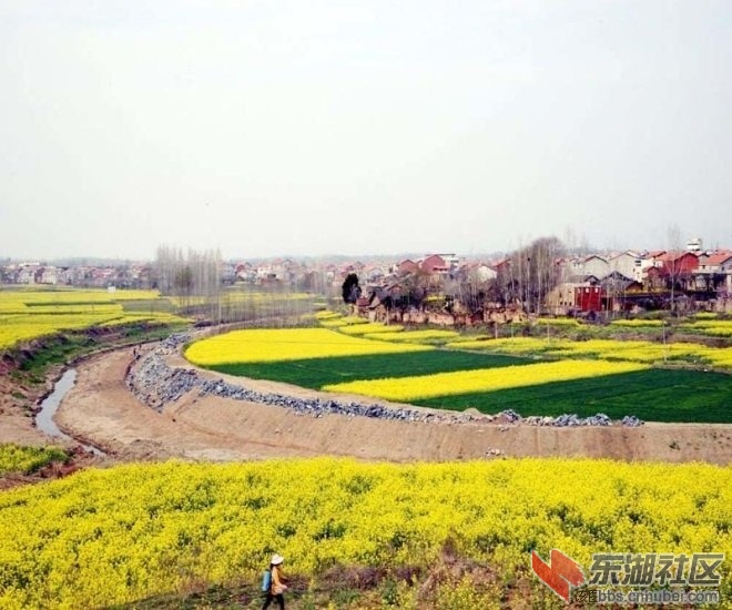 京山坪坝最新消息，京山坪坝资讯速递