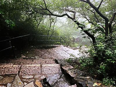 香山听泉新余现价揭晓