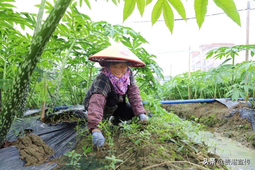 大仁西村最新消息-大仁西村资讯速递