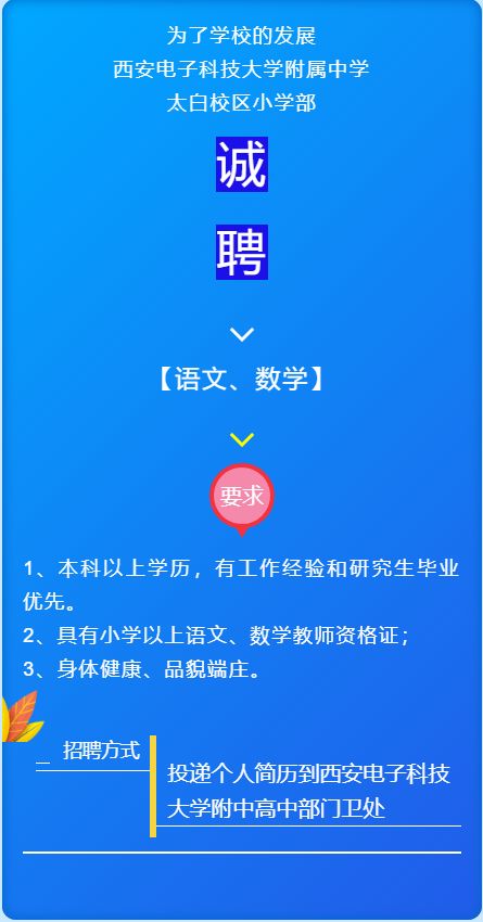 西安最新小学教师职位招募信息