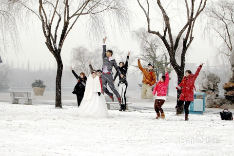 瑞雪兆丰年，瑞阳映照下的苹果喜讯连连