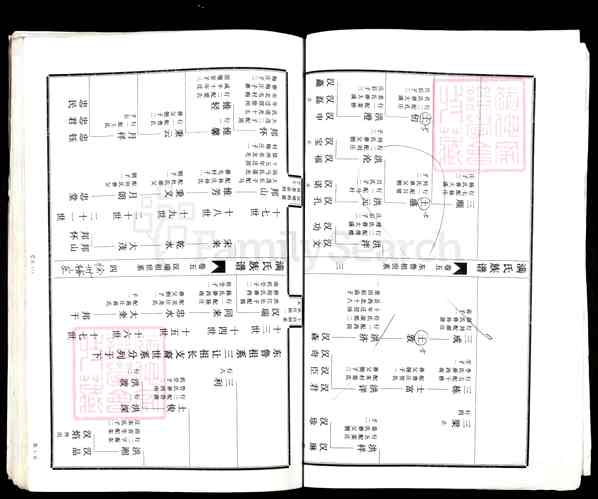 枣庄族谱集成全新版