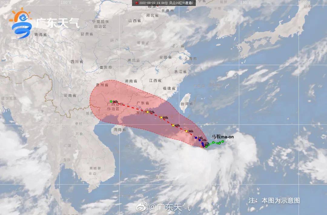 肇庆地区最新台风动态及实时情况速报