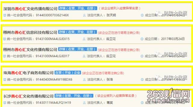 最新揭露：中央地区非法集资案件进展追踪报道